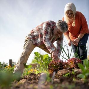 Couple de seniors heureux en train de jardiner