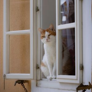 aérer et créer une ventilation naturelle assistée dans la maison